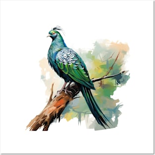 Nicobar Pigeon Posters and Art